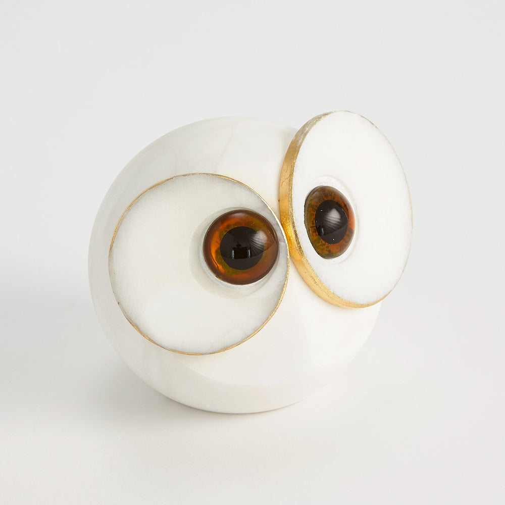 Chouette aux yeux à gros albaster