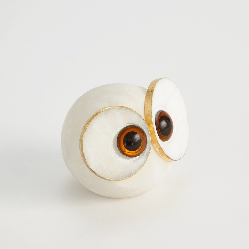 Chouette aux yeux à gros albaster