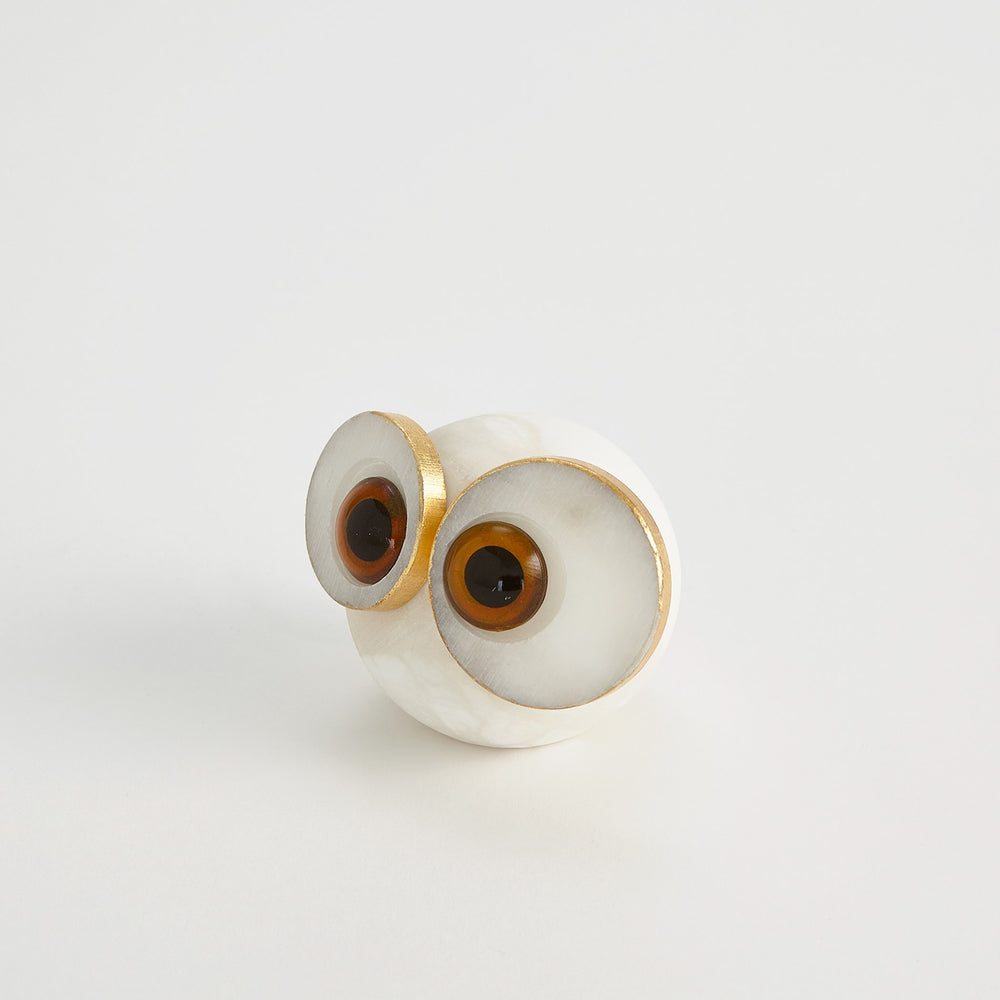 Chouette aux yeux à gros albaster