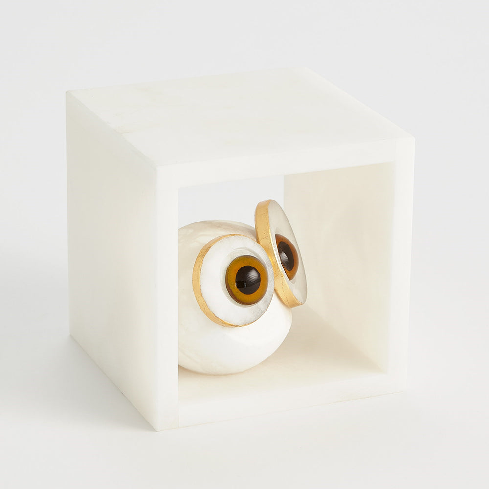 Chouette aux yeux à gros albaster