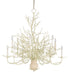 Currey and Company - 12 Light Chandelier - Seaward Collection - White Coral/Natural Sand- Union Lighting Luminaires Decor