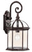 Kichler Canada - One Light Outdoor Wall Mount - Barrie - Tannery Bronze- Union Lighting Luminaires Decor
