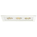 W.A.C. Canada - LED Trim - Mr16 Multiples - White/White- Union Lighting Luminaires Decor