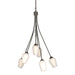 Hubbardton Forge - Six Light Chandelier - Flora - Dark Smoke- Union Lighting Luminaires Decor