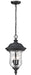 Z-Lite Canada - Three Light Outdoor Chain Mount - Armstrong - Black- Union Lighting Luminaires Decor