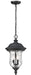 Z-Lite Canada - Two Light Outdoor Chain Mount - Armstrong - Black- Union Lighting Luminaires Decor