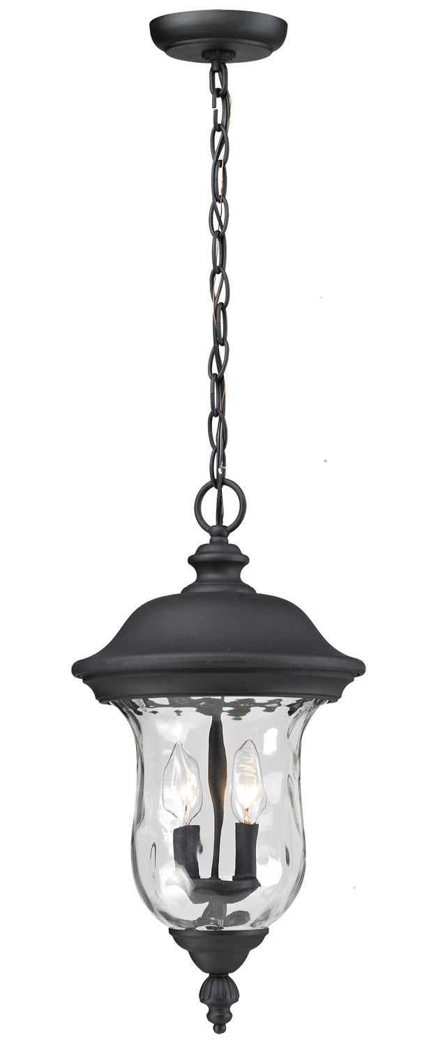 Z-Lite Canada - Two Light Outdoor Chain Mount - Armstrong - Black- Union Lighting Luminaires Decor