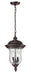 Z-Lite Canada - Two Light Outdoor Chain Mount - Armstrong - Bronze- Union Lighting Luminaires Decor