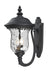 Z-Lite Canada - Two Light Outdoor Wall Sconce - Armstrong - Black- Union Lighting Luminaires Decor