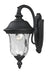 Z-Lite Canada - One Light Outdoor Wall Light - Armstrong - Black- Union Lighting Luminaires Decor