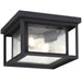 Generation Lighting Canada - Two Light Outdoor Flush Mount - Hunnington - Black- Union Lighting Luminaires Decor