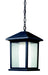 Z-Lite Canada - One Light Outdoor Chain Mount Ceiling Fixture - Mesa - Oil Rubbed Bronze- Union Lighting Luminaires Decor