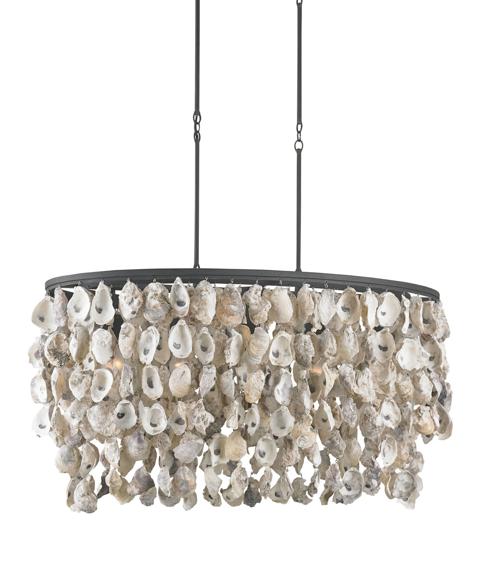 Currey and Company - Five Light Chandelier - Oyster Shell - Natural/Blacksmith- Union Lighting Luminaires Decor