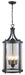 DVI Canada - Six Light Outdoor Pendant - Niagara Outdoor - Hammered Black w/Clear Glass- Union Lighting Luminaires Decor