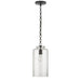 Visual Comfort Signature Canada - One Light Pendant - Katie Cylider - Bronze- Union Lighting Luminaires Decor