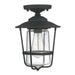 Capital Lighting - One Light Outdoor Flush Mount - Creekside - Black- Union Lighting Luminaires Decor