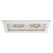 W.A.C. Canada - LED Trim - Mr16 Multiples - White/White- Union Lighting Luminaires Decor