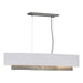 Hubbardton Forge - Four Light Pendant - Oceanus - Vintage Platinum- Union Lighting Luminaires Decor