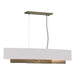 Hubbardton Forge - Four Light Pendant - Oceanus - Soft Gold- Union Lighting Luminaires Decor