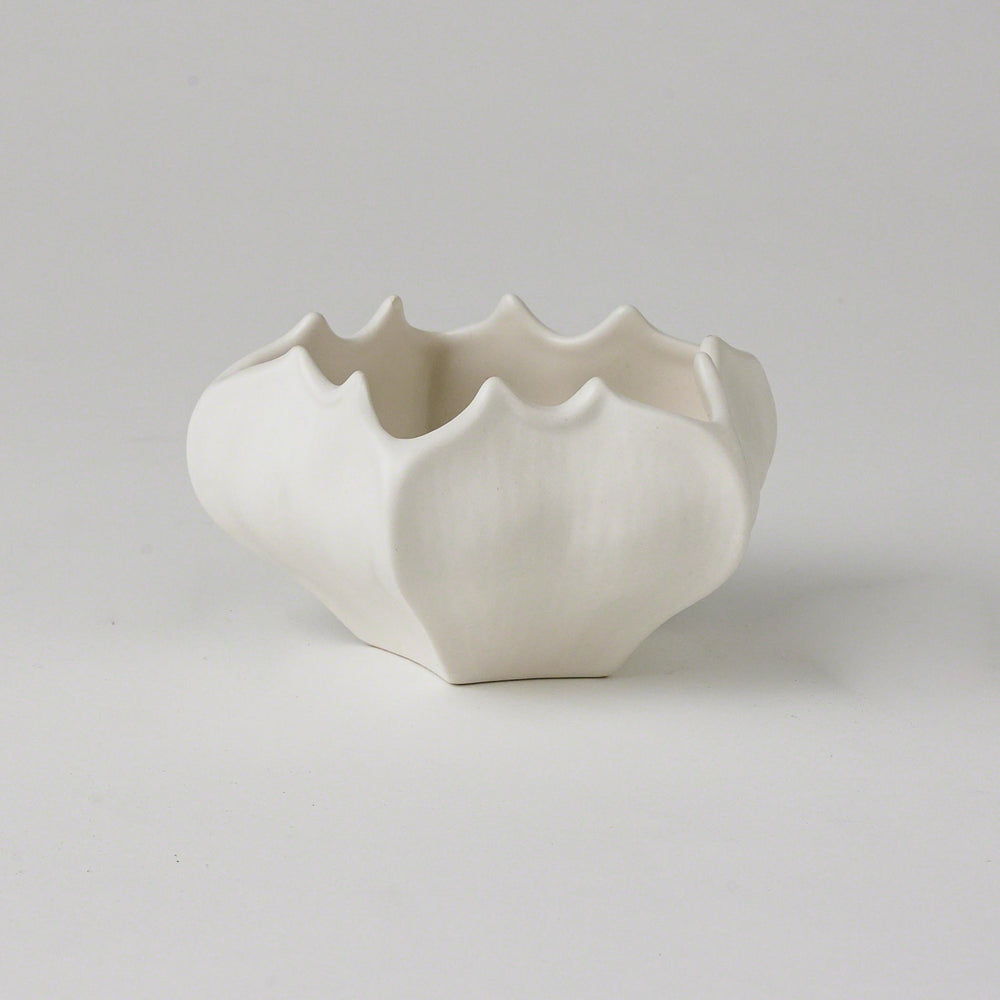 Mini Star Fruit Bowl and Vases