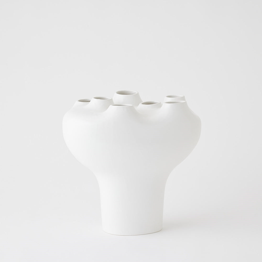 Vases geyser