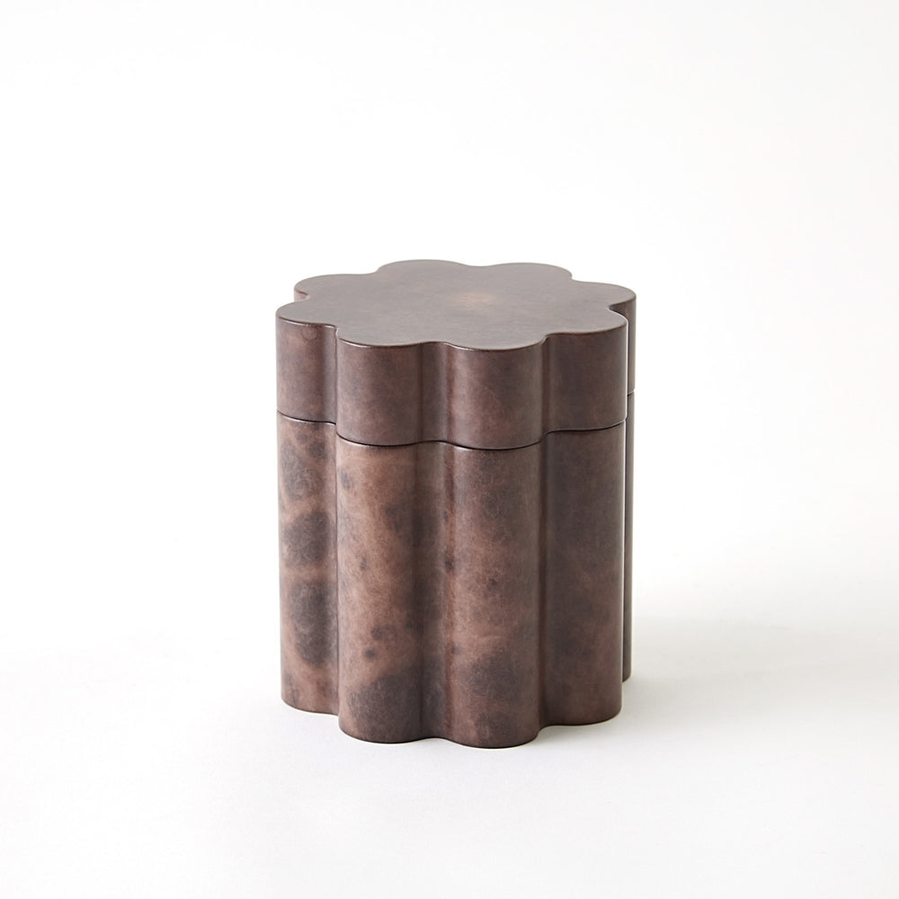 Boîte et plateaux de collecte de l'albâtre Cumulus