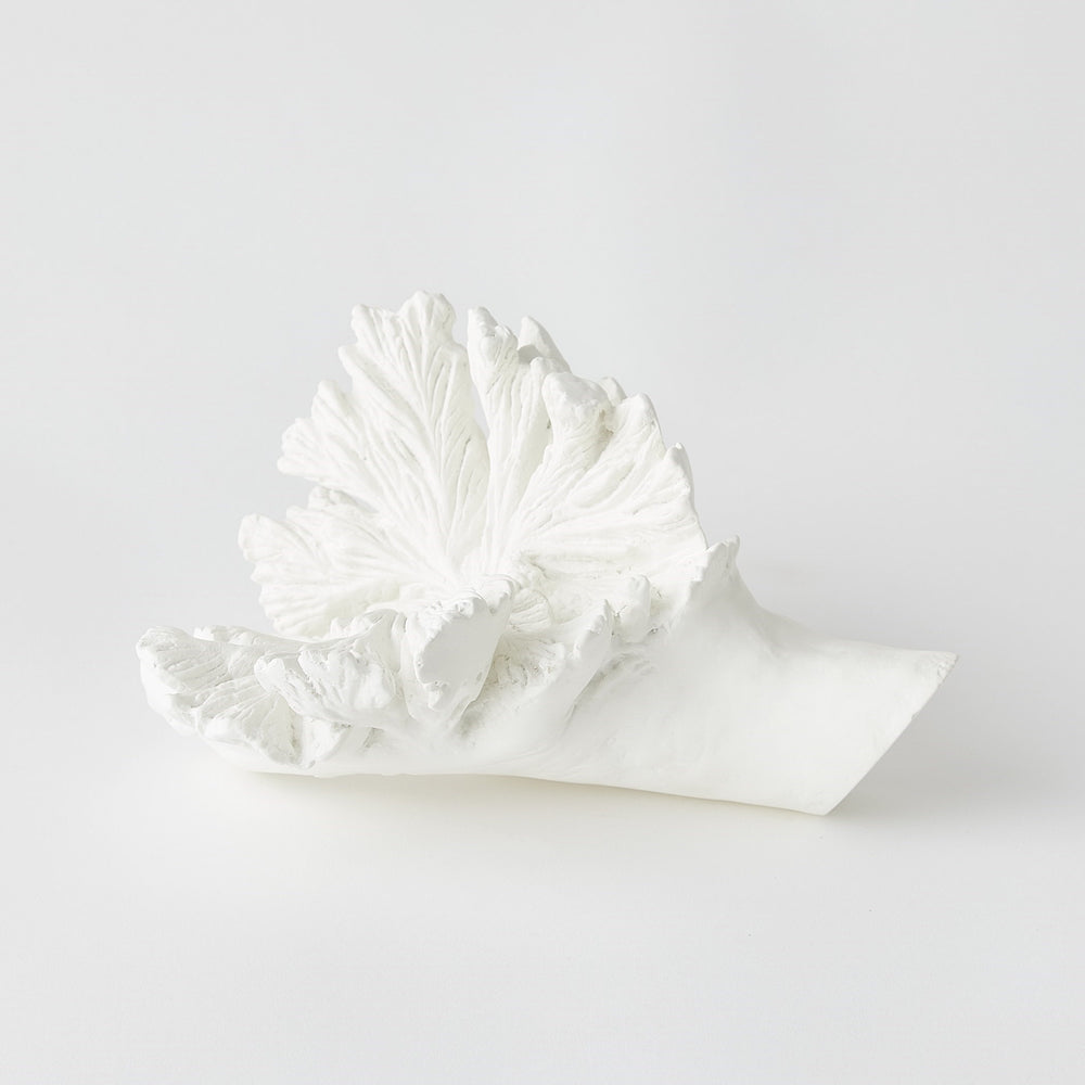 Volcano Flower White
