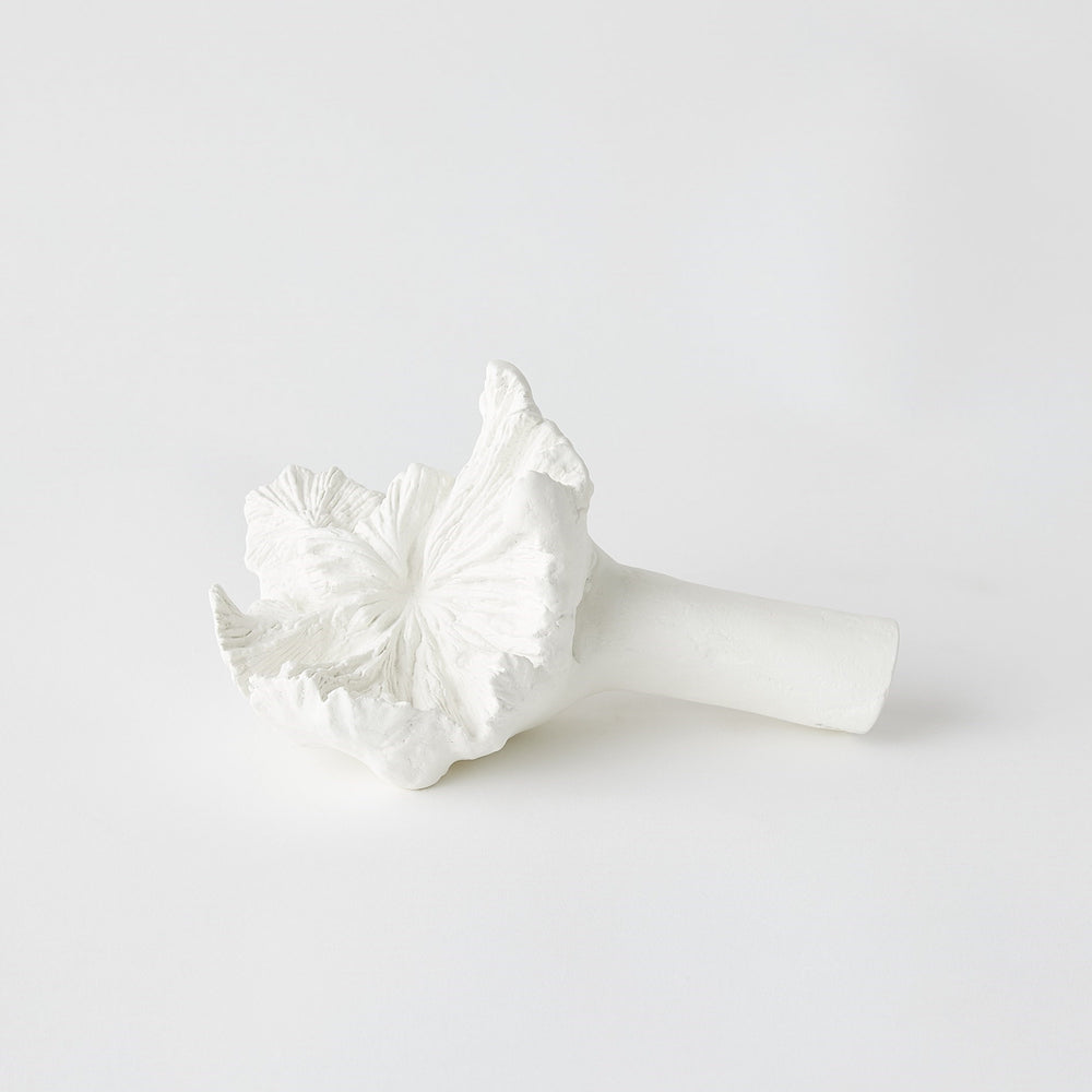 Volcano Flower White