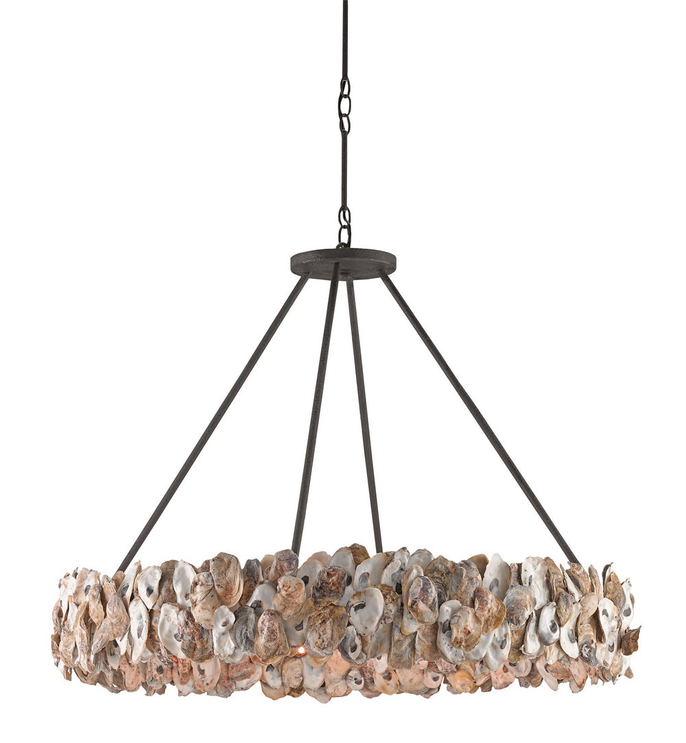 Currey and Company - Eight Light Chandelier - Oyster Shell Collection - Textured Bronze/Natural- Union Lighting Luminaires Decor
