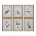Uttermost - Wall Art - Green Floral Botanical Study - Gold Leaf- Union Lighting Luminaires Decor