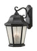 Generation Lighting Canada - Four Light Outdoor Wall Lantern - Martinsville - Black- Union Lighting Luminaires Decor