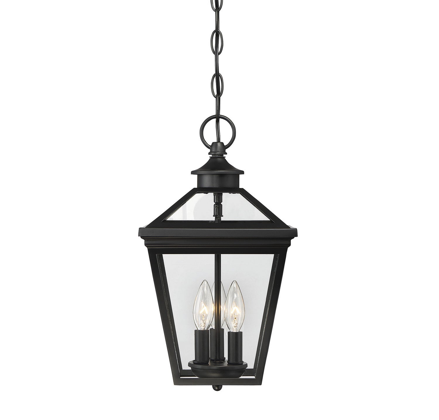 Savoy House - Three Light Hanging Lantern - Ellijay - Black- Union Lighting Luminaires Decor