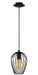 Eglo Canada - One Light Pendant - Newtown - Black- Union Lighting Luminaires Decor