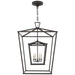 Visual Comfort Signature Canada - Four Light Lantern - Darlana Double Cage - Aged Iron- Union Lighting Luminaires Decor