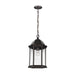 Generation Lighting Canada - One Light Outdoor Pendant - Sevier - Antique Bronze- Union Lighting Luminaires Decor