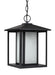 Generation Lighting Canada. - One Light Outdoor Pendant - Hunnington - Black- Union Lighting Luminaires Decor