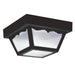 Generation Lighting Canada - One Light Outdoor Flush Mount - Outdoor Ceiling - Black- Union Lighting Luminaires Decor