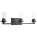 Progress Canada - Three Light Bath - Debut - Graphite- Union Lighting Luminaires Decor