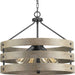 Progress Canada - Four Light Pendant - Gulliver - Graphite- Union Lighting Luminaires Decor