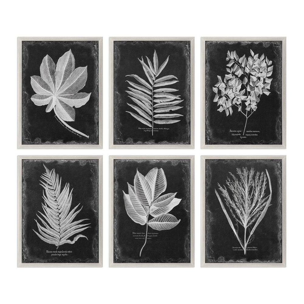 Uttermost - Wall Art - Foliage - Champagne Silver- Union Lighting Luminaires Decor