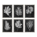 Uttermost - Wall Art - Foliage - Champagne Silver- Union Lighting Luminaires Decor