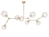 Avenue Lighting - Eight Light Chandelier - Fairfax Ave. - Brushed Brass- Union Lighting Luminaires Decor