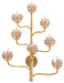 Currey and Company - Eight Light Wall Sconce - Agave Americana Collection - Dark Contemporary Gold Leaf- Union Lighting Luminaires Decor