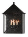 Currey and Company - Three Light Outdoor Wall Sconce - Ripley - Midnight- Union Lighting Luminaires Decor