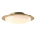 Hubbardton Forge - Two Light Semi-Flush Mount - Oceanus - Soft Gold- Union Lighting Luminaires Decor