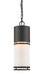 Z-Lite Canada - LED Outdoor Chain Mount - Luminata - Deep Bronze- Union Lighting Luminaires Decor