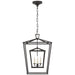 Visual Comfort Signature Canada - Three Light Lantern - Darlana Double Cage - Aged Iron- Union Lighting Luminaires Decor
