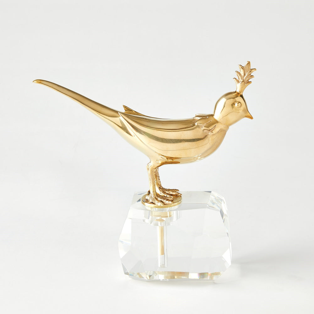 Oiseau sur la roche cristalline
