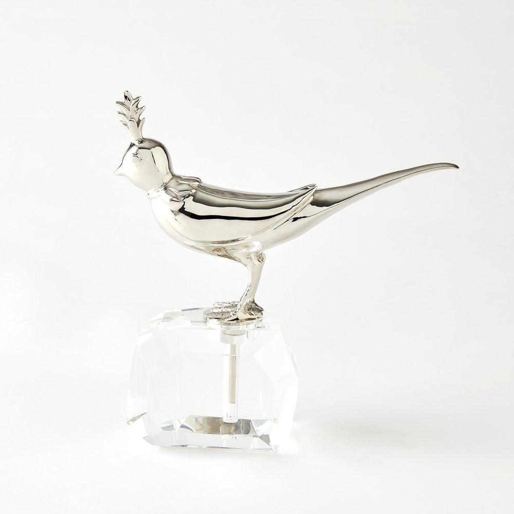 Oiseau sur la roche cristalline