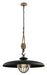 Troy Lighting Canada - One Light Pendant - Murphy - Forged Iron- Union Lighting Luminaires Decor